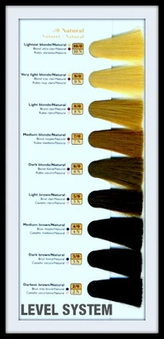1 - Level Chart -To Determine the Levels - Killerstrands Hair Clinic