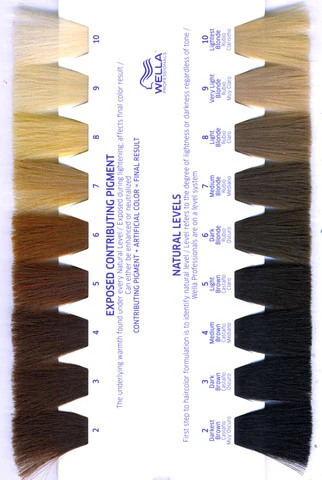 ' Mens Hair Color ' - Pro Kits & Tools Just for Dude's
